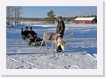 reindeer driving * 1907 x 1326 * (2.39MB)